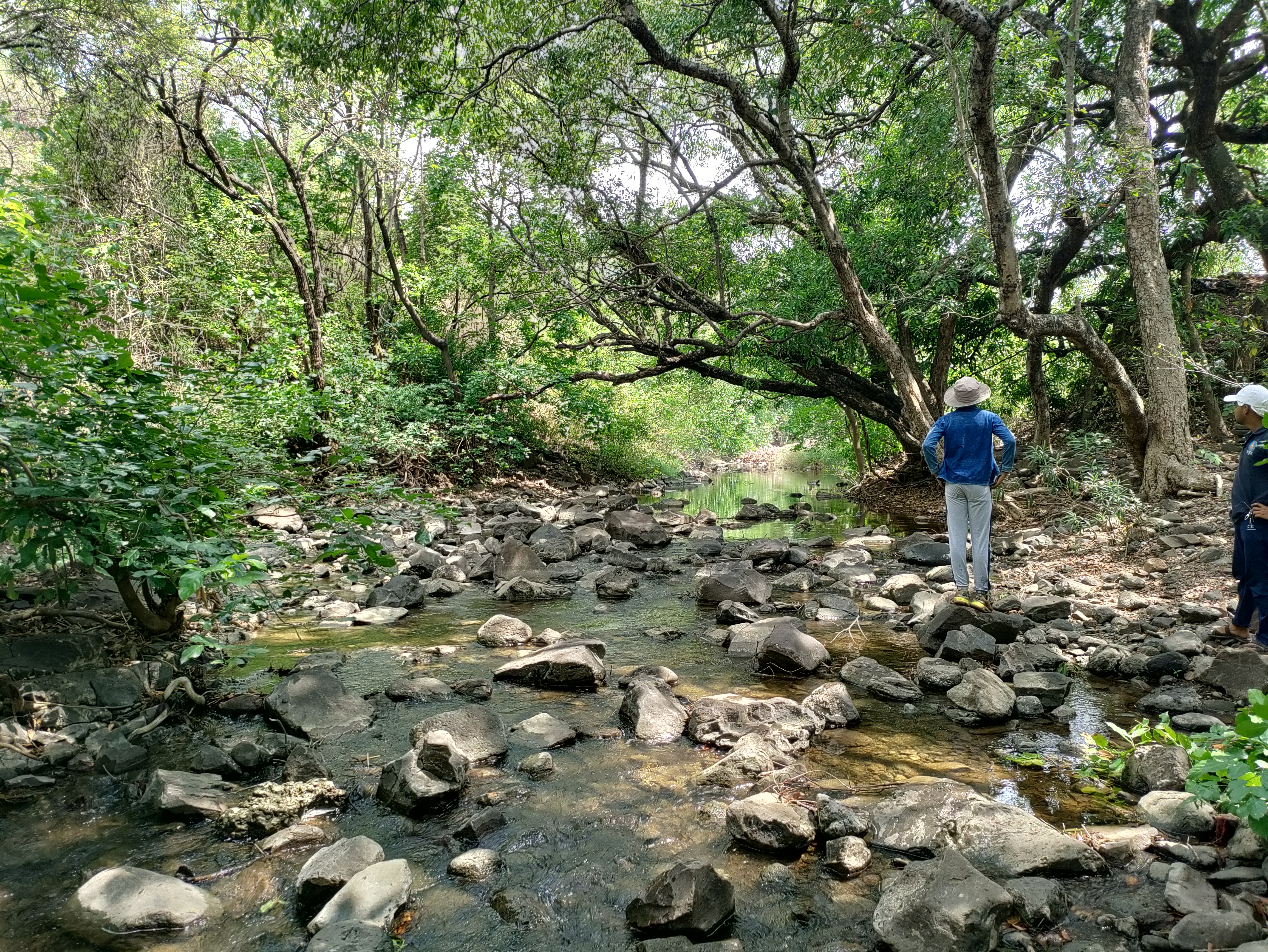 Biodiversity