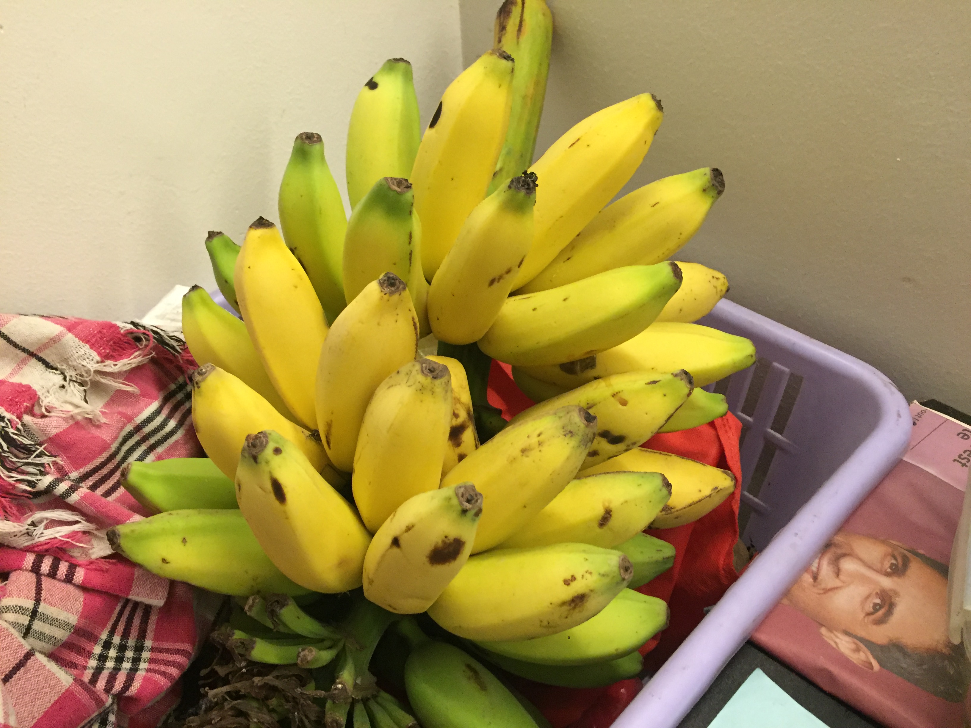 Banana
