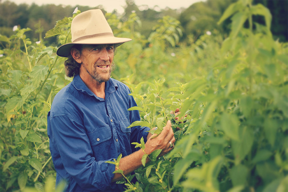 Geoff Lawton: Surviving Collapse, Designing your Way to Abundance