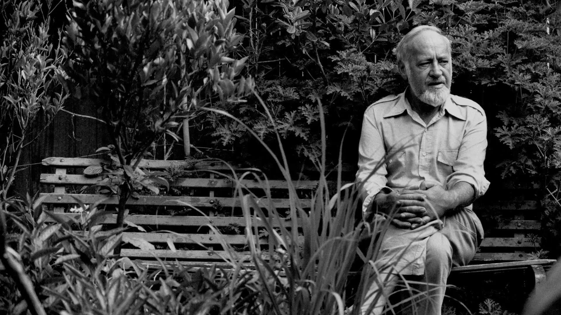 Global Gardener: In the Tropics